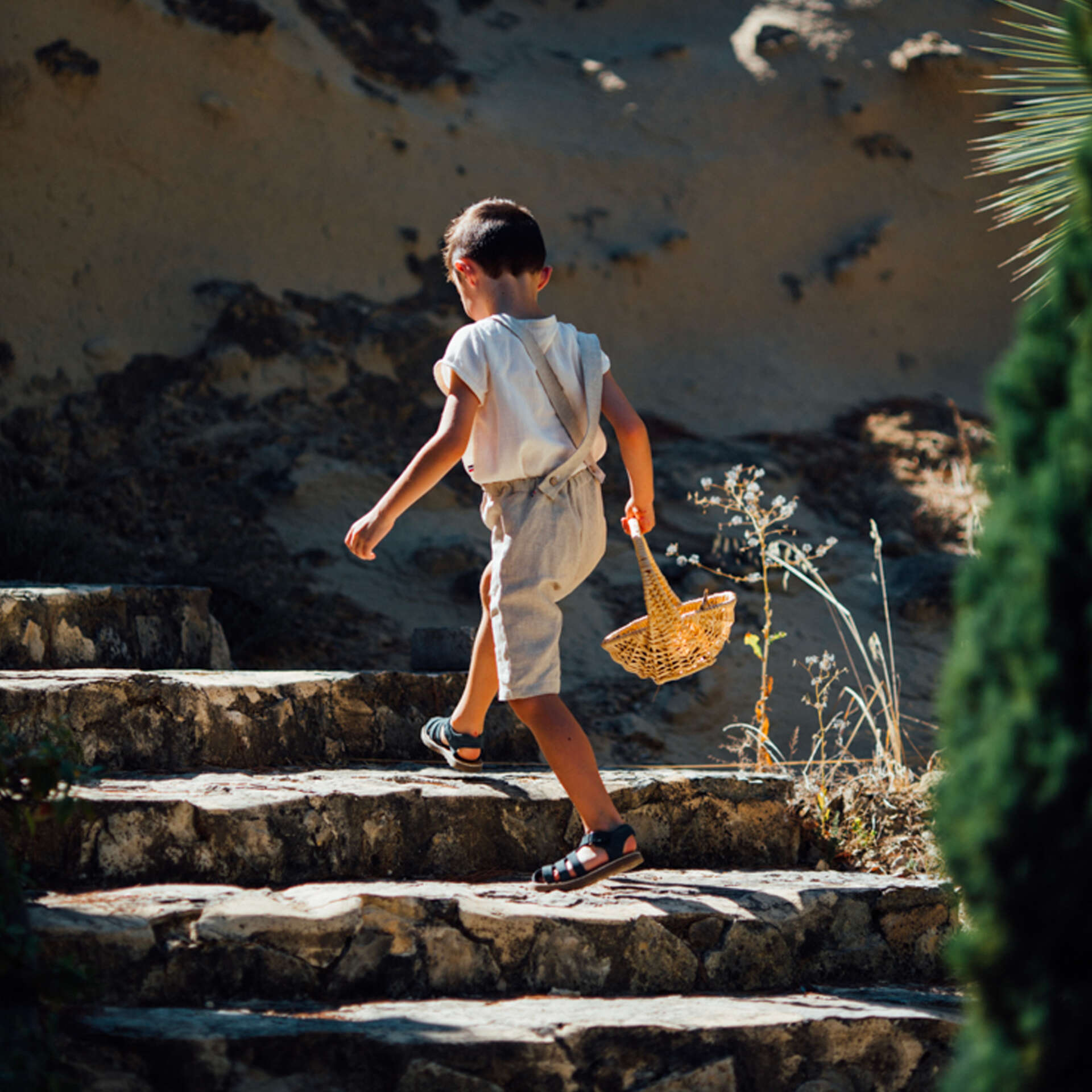 Bermuda cérémonie garçon CITRONNIER