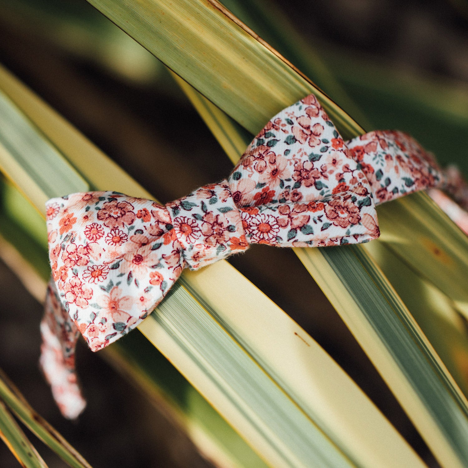 Noeud papillon CROCUS, fleuri rose