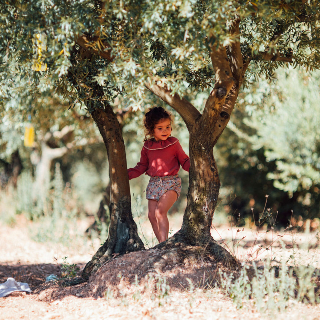 A l'ombre d'un olivier