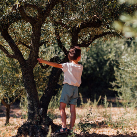 Préserver l'environnement, nous utilisons du coton bio GOTS