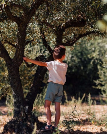 Epiko Short Short enfant coton bio FICUS Mode durable made in france et europe